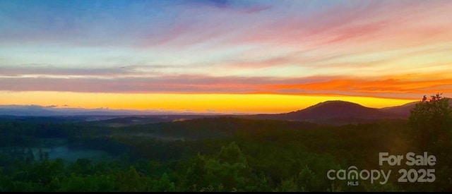 202 Panorama Dr, Nebo, NC 28761 - mountain view