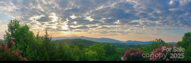 202 Panorama Dr, Nebo, NC 28761 - mountain view