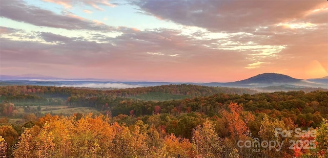 202 Panorama Dr, Nebo, NC 28761 - mountain view featuring a forest