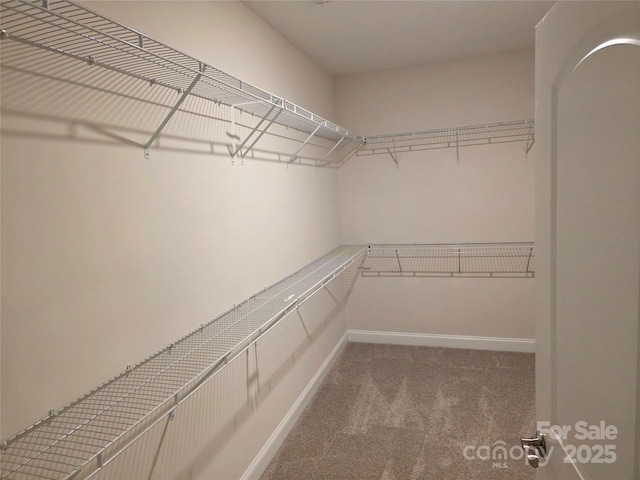 2617 Manor Stone Way, Indian Trail, NC 28079 - walk in closet with carpet flooring