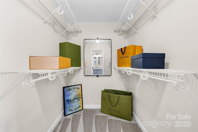 1133 Bloom Wood Ln, Matthews, NC 28105 - spacious closet featuring carpet flooring