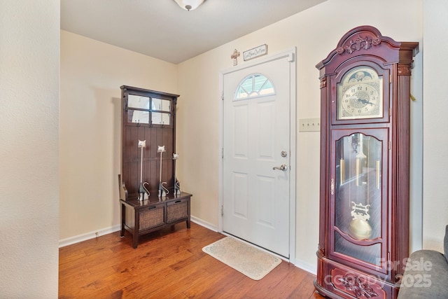 foyer featuring hardwood / wood-style flooring and a healthy amount of sunlight