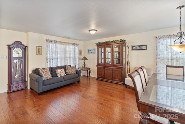 living room featuring dark hardwood / wood-style flooring