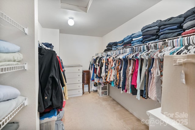 walk in closet with light carpet