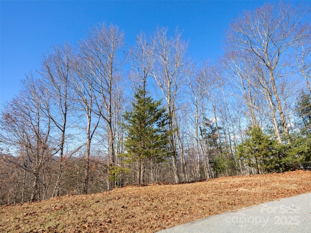 34 Chimney Crest Dr, Asheville NC, 28806 land for sale