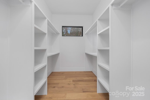 spacious closet with light hardwood / wood-style flooring