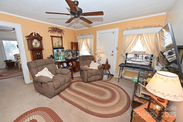 carpeted living room with a healthy amount of sunlight, crown molding, and ceiling fan