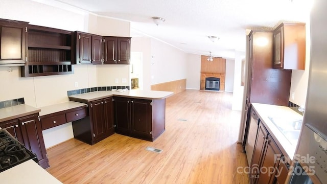 kitchen with light wood-type flooring, dark brown cabinetry, and kitchen peninsula