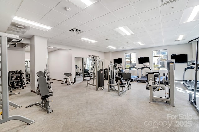 workout area featuring a paneled ceiling, visible vents, and light colored carpet