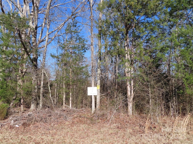 LOT2 Winter Rd Unit 2, Rock Hill SC, 29730 land for sale