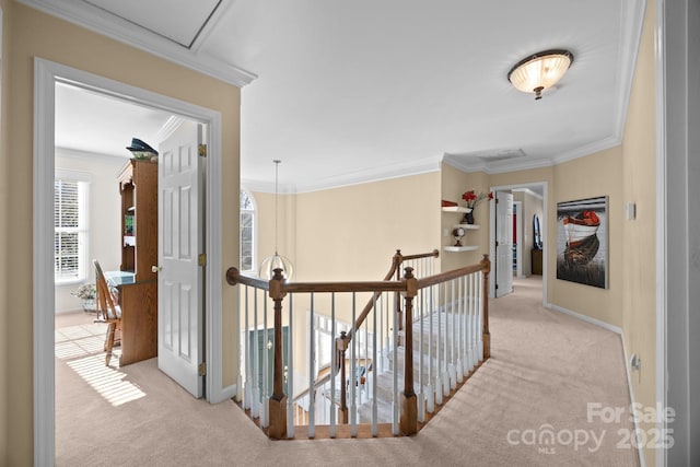 hallway featuring ornamental molding and light carpet