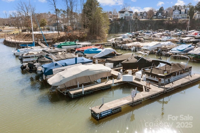 view of dock with a water view