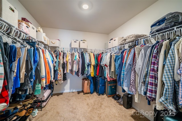 walk in closet featuring carpet floors