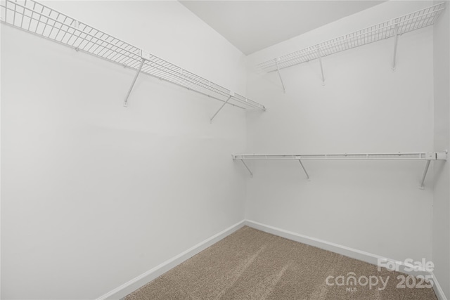 spacious closet with carpet flooring