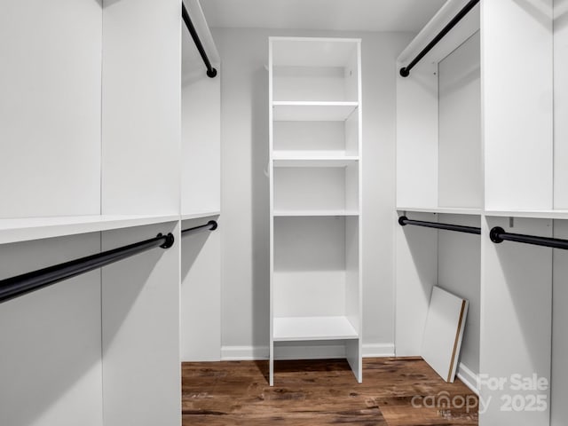 spacious closet featuring dark wood-style flooring