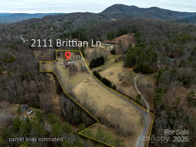 birds eye view of property featuring a mountain view and a forest view