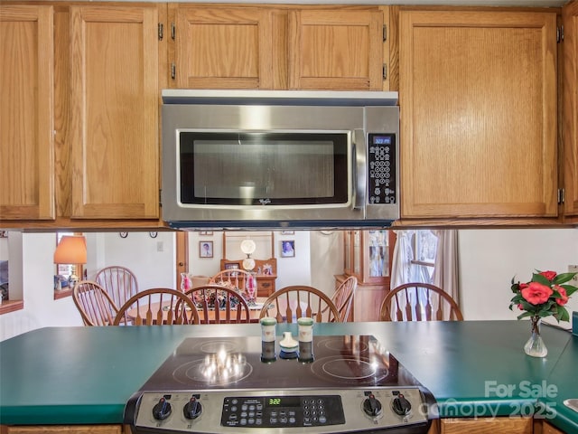 kitchen featuring stainless steel appliances