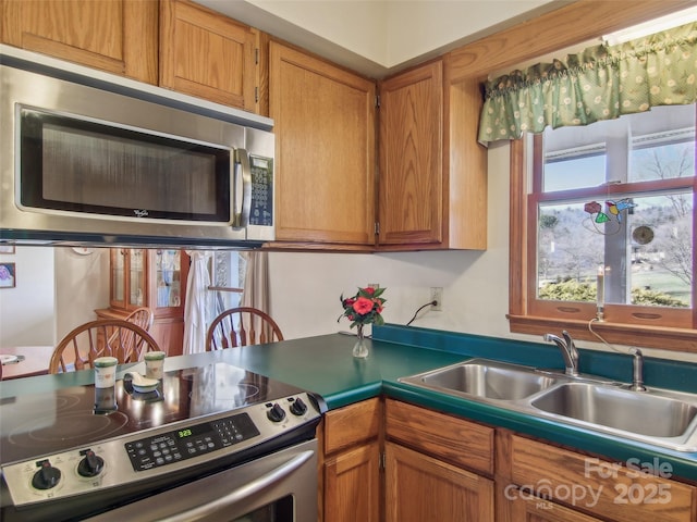 kitchen with appliances with stainless steel finishes and sink