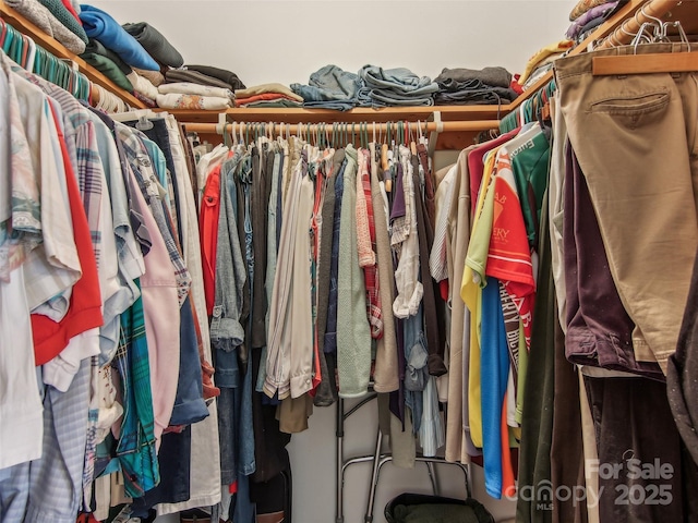 view of spacious closet