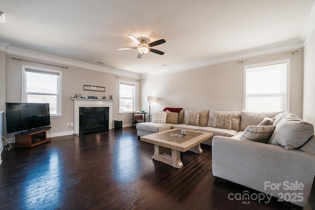 living area featuring dark wood-type flooring, a fireplace, a ceiling fan, baseboards, and crown molding