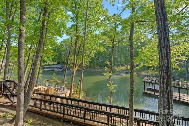 106 Mcnaron Ln, Mooresville, NC 28117 - photo 45