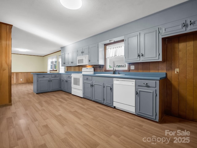 kitchen with light hardwood / wood-style flooring, white appliances, wood walls, gray cabinets, and sink