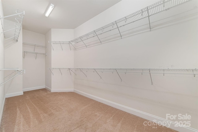 3004 Fallondale Rd, Waxhaw, NC 28173 - spacious closet featuring light colored carpet