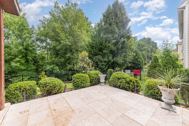 3004 Fallondale Rd, Waxhaw, NC 28173 - view of patio / terrace