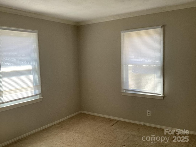 empty room featuring ornamental molding and light carpet