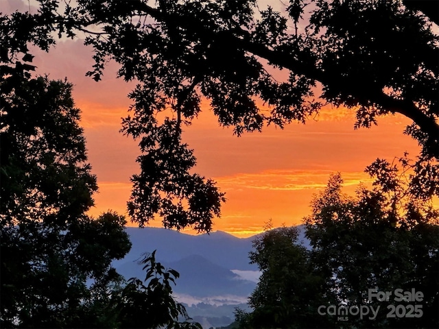 view of nature with a mountain view