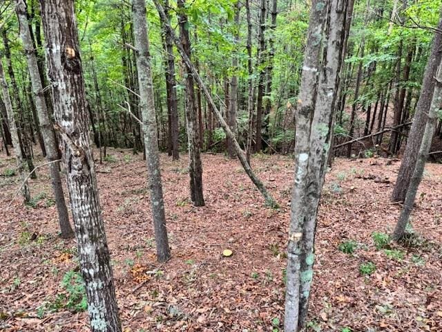 1683 Pisgah Preserve Dr, Nebo, NC 28761