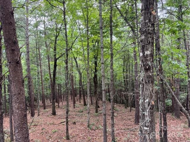 1683 Pisgah Preserve Dr, Nebo, NC 28761