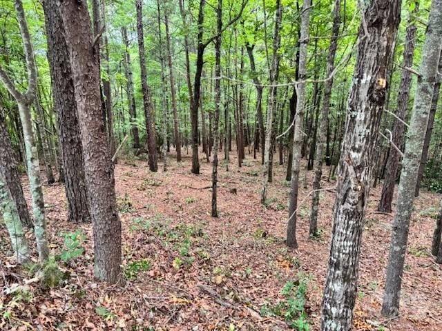 1683 Pisgah Preserve Dr, Nebo, NC 28761