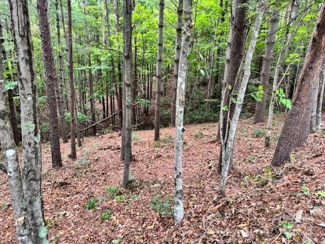 1683 Pisgah Preserve Dr, Nebo, NC 28761