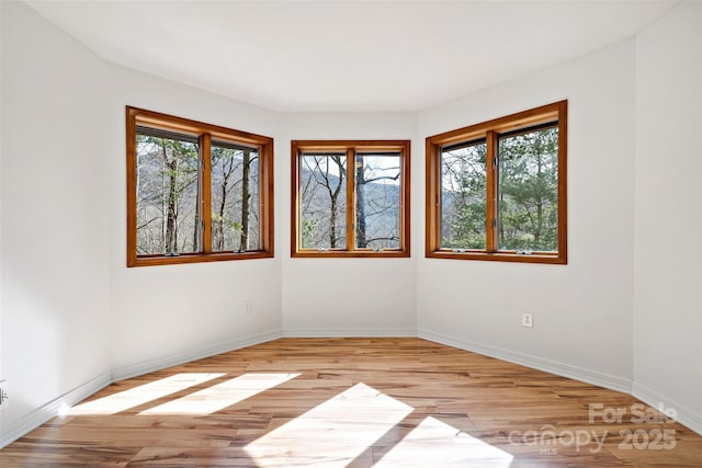 empty room featuring light wood-type flooring, baseboards, and a wealth of natural light