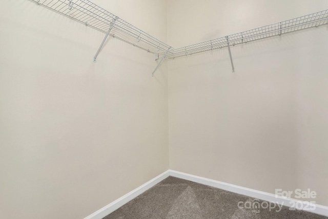 spacious closet featuring dark colored carpet