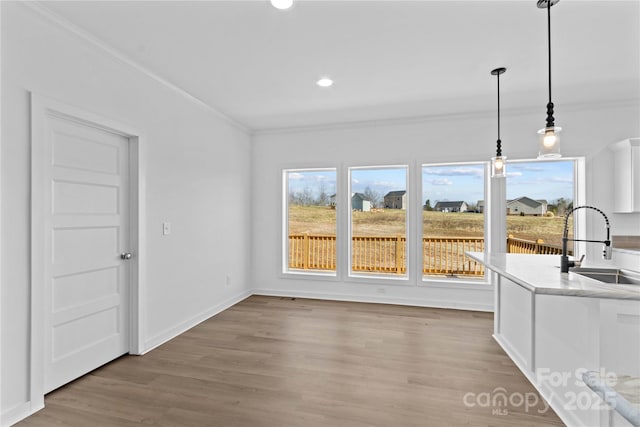 interior space featuring light wood-type flooring, sink, and crown molding