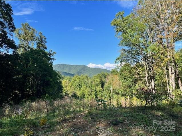 89 Cisco Cv Unit R8, Waynesville NC, 28786 land for sale