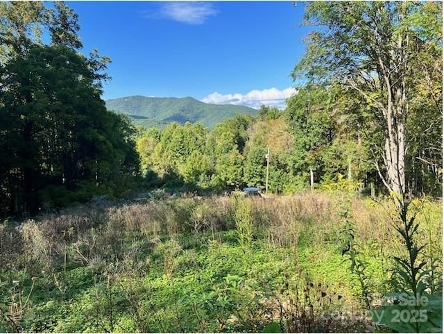 Listing photo 2 for 89 Cisco Cv Unit R8, Waynesville NC 28786