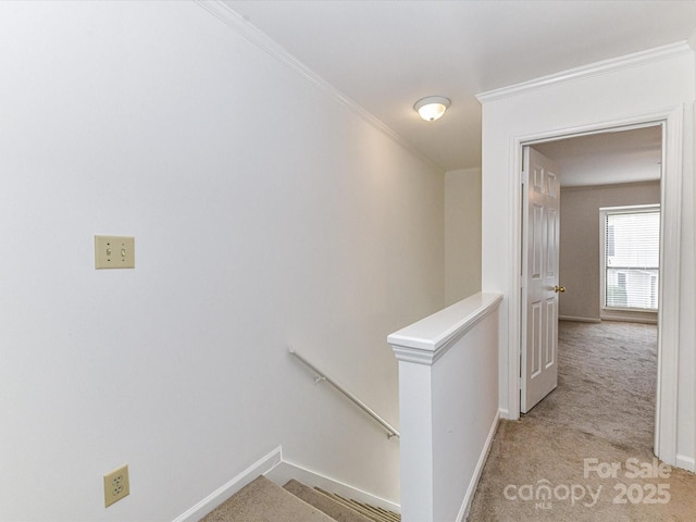 11020 Carmel Crossing Rd, Charlotte, NC 28226 - photo 19