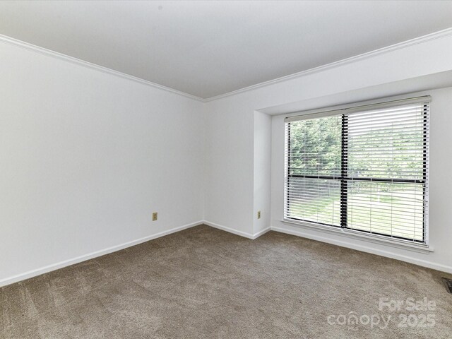 11020 Carmel Crossing Rd, Charlotte, NC 28226 - photo 25