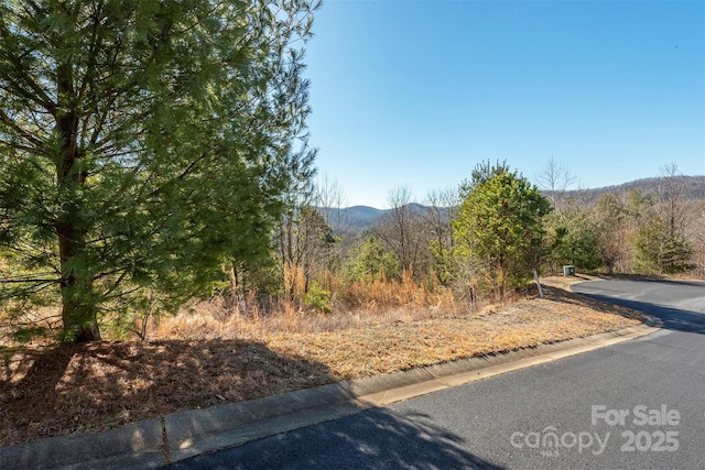 view of road featuring a mountain view and curbs