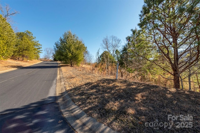 view of road with curbs