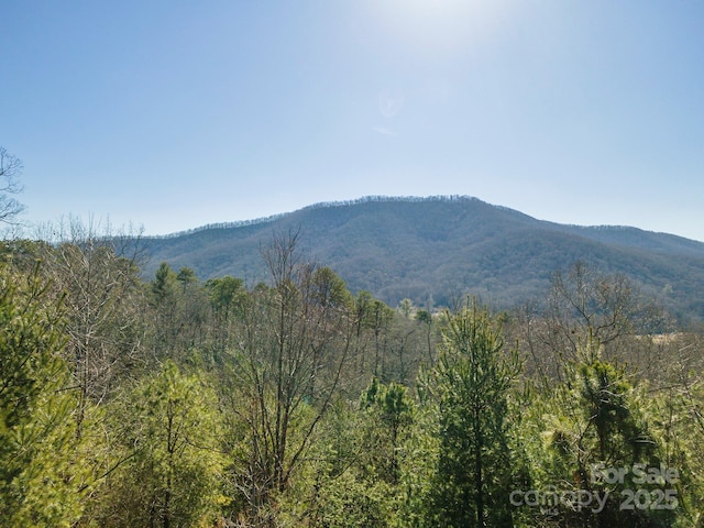 property view of mountains