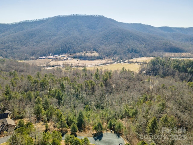 property view of mountains