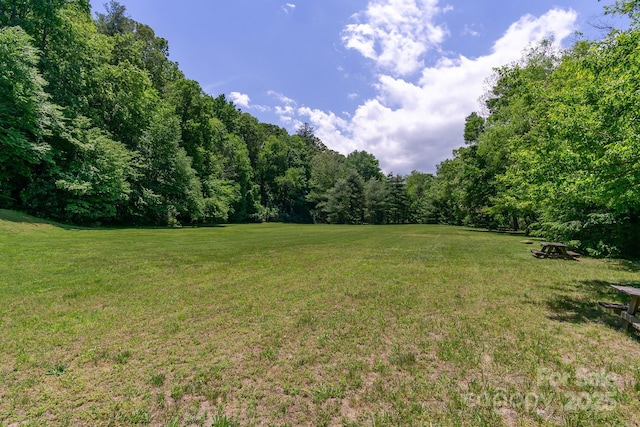 view of yard with a wooded view