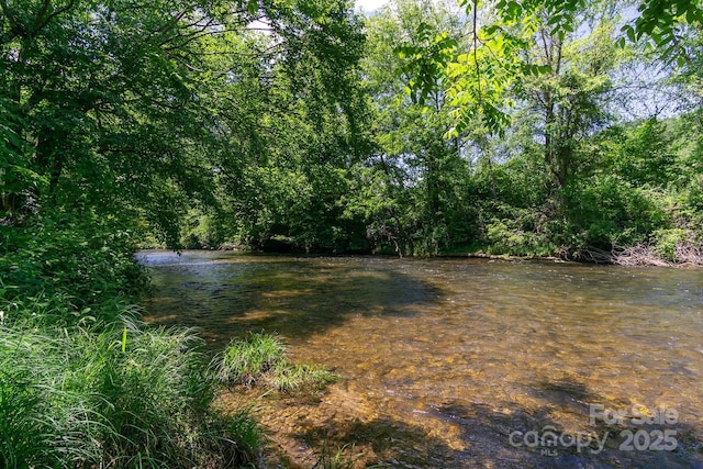 water view featuring a view of trees