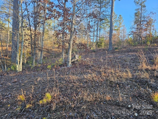 view of landscape