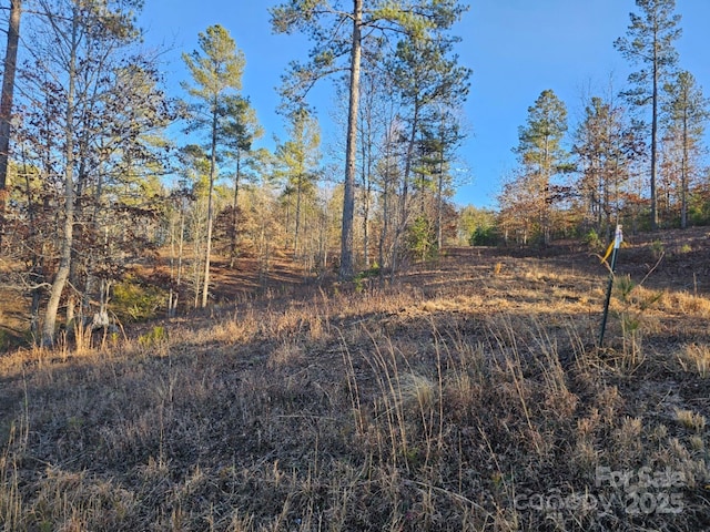 view of local wilderness