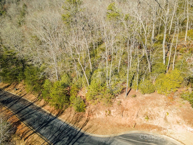 bird's eye view with a forest view